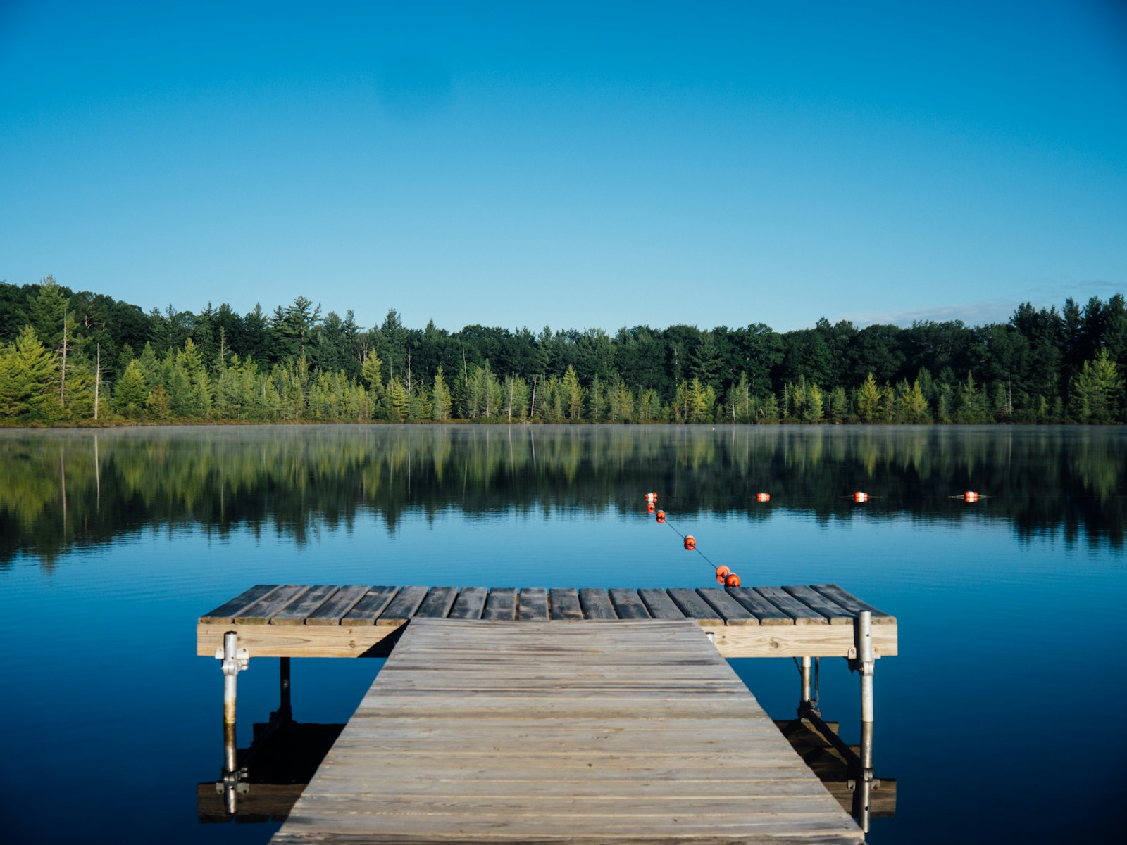 A quiet wooden dock on calm, still water at the edge of a lake